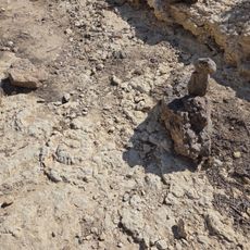 מאובני אומניטים