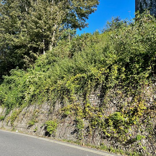 Churchyard Walls To The Church Of St John Sub Castro
