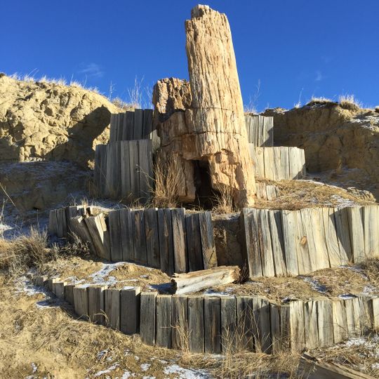 Dry Creek Petrified Tree Environmental Education Area
