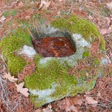 Sogenannter Hirschtrog