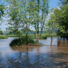 Avoca River-Bottom Prairie