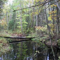 Puhatu Nature Reserve