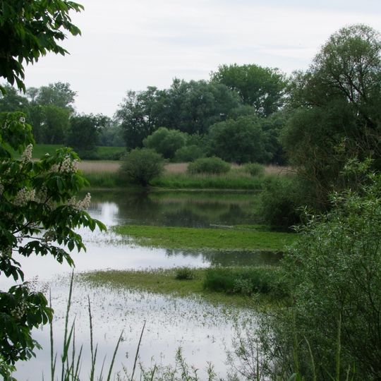 Donaualtwasser Winzerer Letten