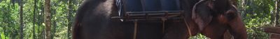 Panoramic View 0