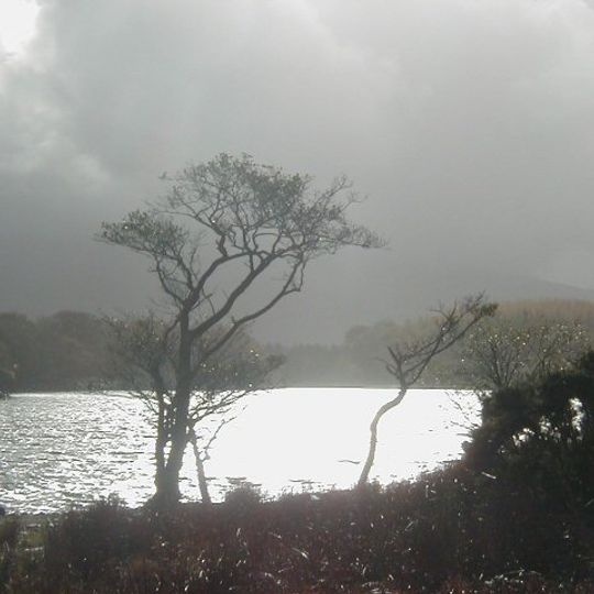 Llyn Cynwch