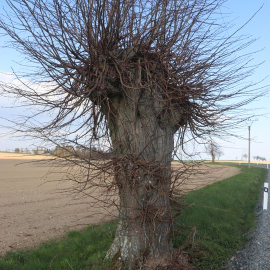 Kříž u silnice na Spetice