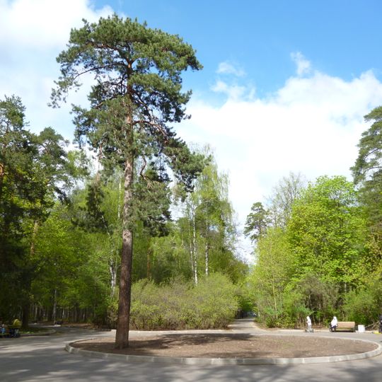 Shchukinsky Forest Park