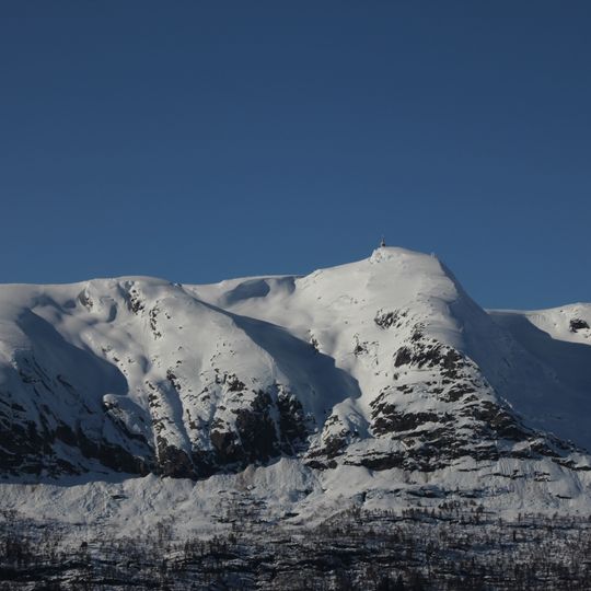 Lønahorgi