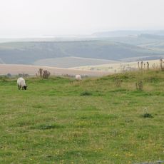 Oval barrow and adjacent bowl barrow, 220m west of Firle Beacon