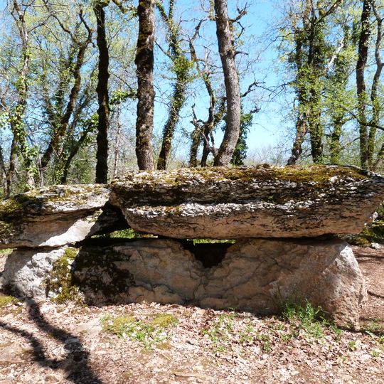 Bois del Rey dolmen