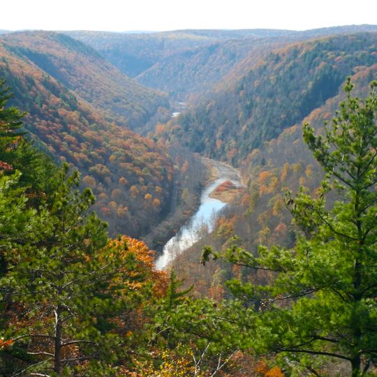 Pine Creek Gorge