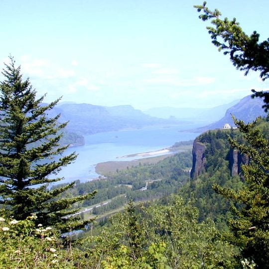 Chanticleer Point