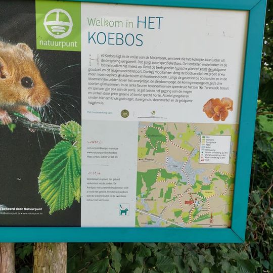Koebos