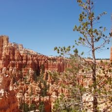 Under-the-Rim Trail