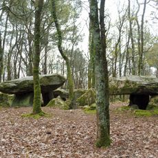 Allée couverte de Mané-Bras
