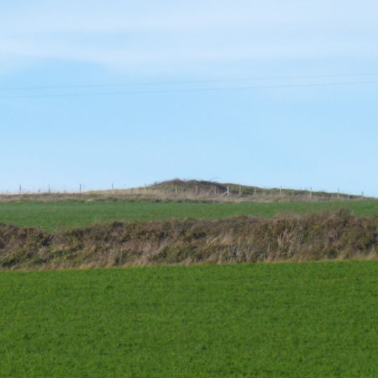 Long barrow on King's Play Hill, 430m north west of Hill Cottage
