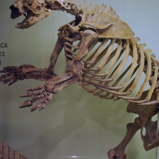 Museum of Comparative Zoology