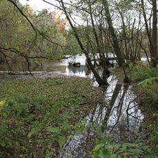 Cukl a Rozsečské rašeliniště