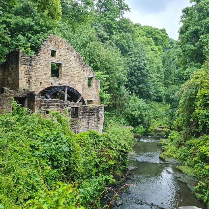 Jesmond Dene