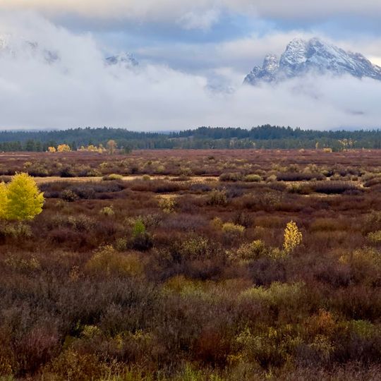 Willow Flats Overlook