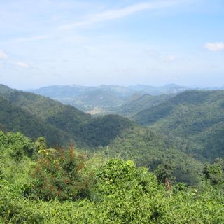 Wald von Dong Phayayen-Khao Yai