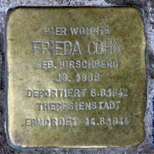 Stolperstein dedicated to Frieda Cohn