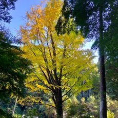 永勝寺