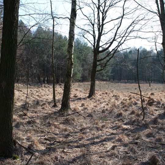 NSG Hildener Heide, oestlich Taubenberg <D>