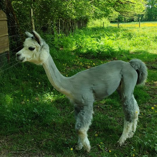 La ferme des Clautres