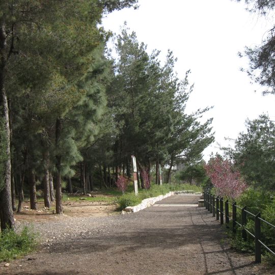 Mount Herzl - The Connecting Path