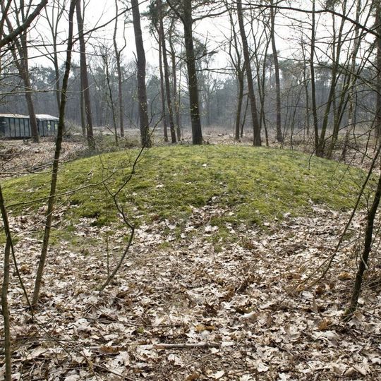 Terrein waarin grafheuvels en urnenveld
