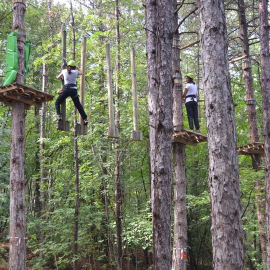 Il Regno dei Mazzamurelli