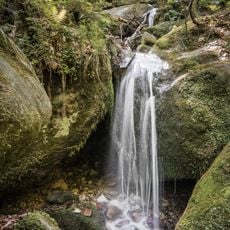 Rezerwat przyrody Wrota Pośny