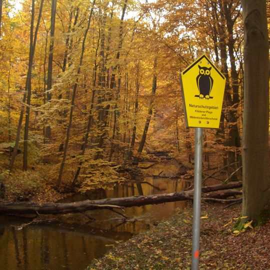 Klädener Plage und Mildenitz- Durchbruchstal