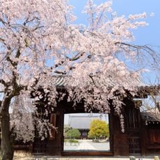 Myōgaku-ji