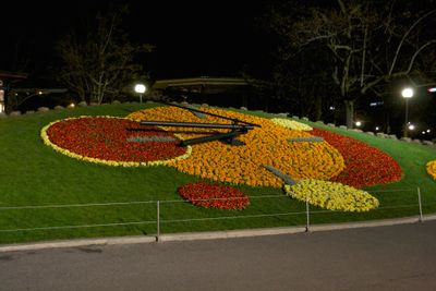 At night 1