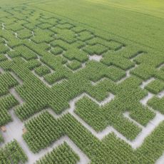 Pop Corn Labyrinthe LYON SUD