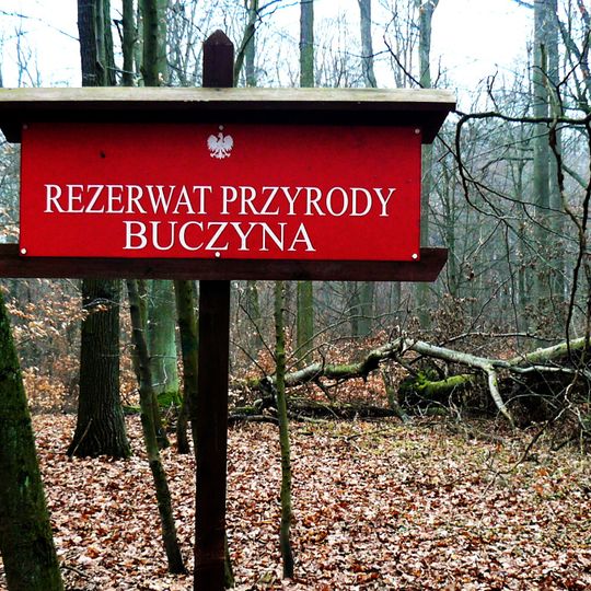 Nature reserve Buczyna