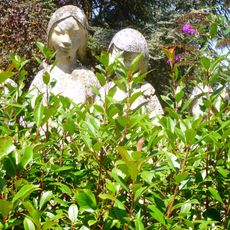Statue