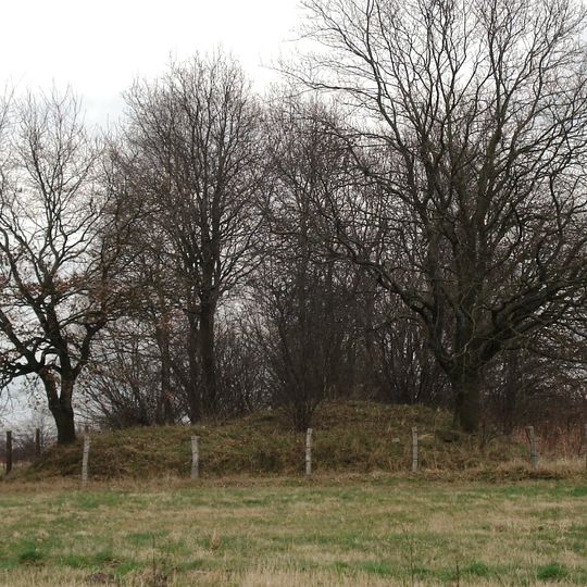 Großsteingrab Offendorf