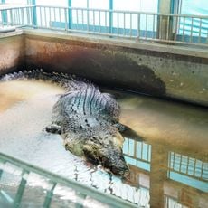 World Snake King Education Farm