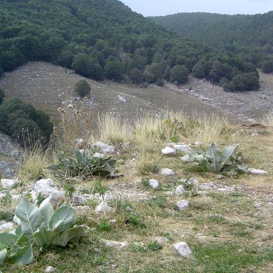 Forca d'Acero