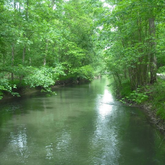 Réserve naturelle régionale du Ried de Sélestat, l'Ill*Wald