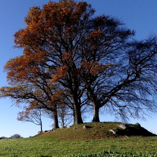 Langdolmen von Løkkeby