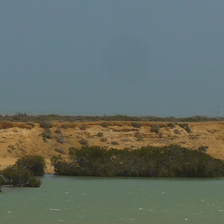 Punta Gallinas