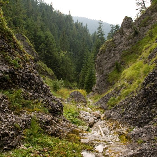 Nyża w Wąwozie Między Ściany