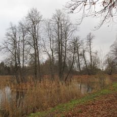 Парк с прудом (Суйда)