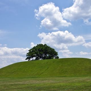 Obras de Terra Seip