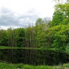 Moshny protected zone