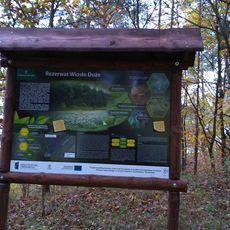 Rezerwat przyrody Wiosło Duże